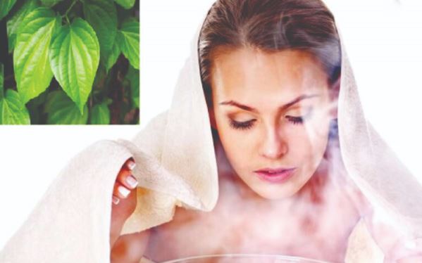 blog/kien-thuc-xong-hoi/xong-hoi-bang-la-trau-khong-co-tac-dung-gi